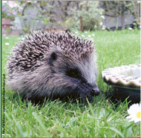 Screen Shot 2015-11-21 at 11.41.48